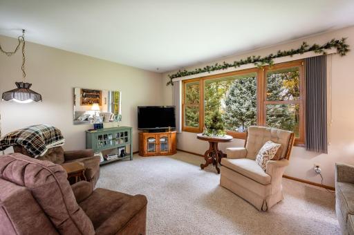 30298 20th Street, Pemberton, MN 56078