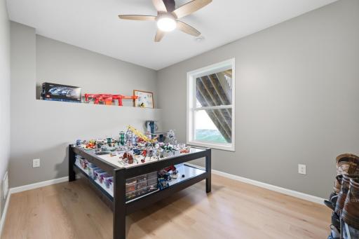 Lower Level Bedroom