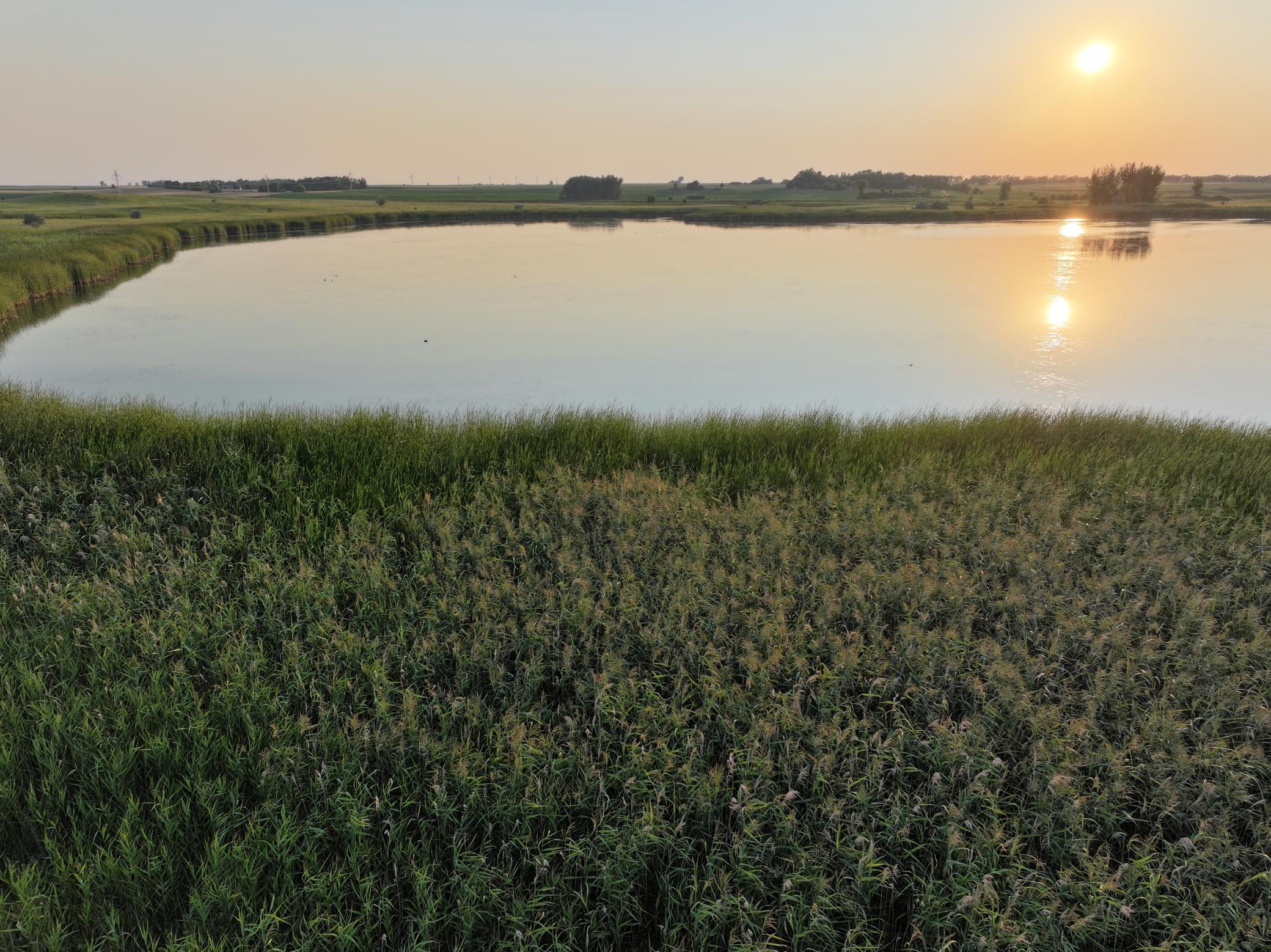 DJI_20260628005546_0017_D.jpeg