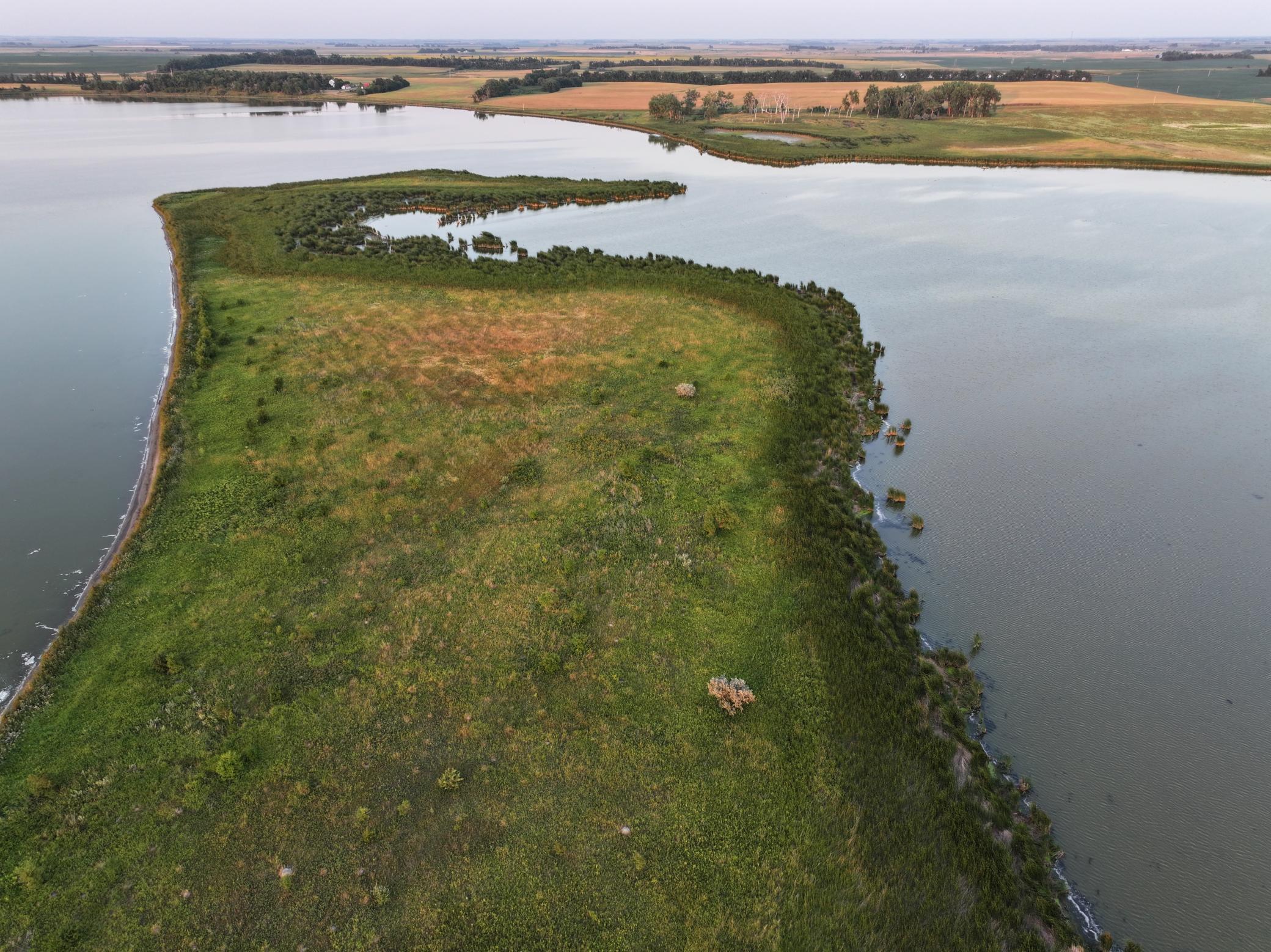DJI_20260628011354_0023_D.jpeg