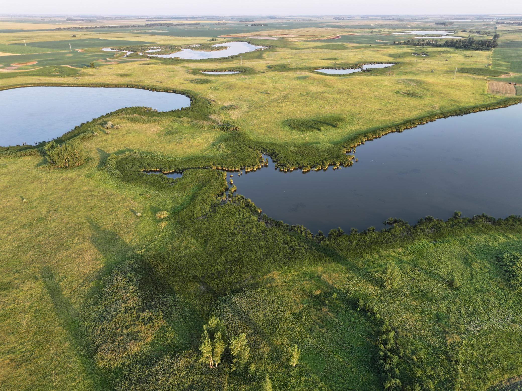 Property photo for TBD 47th St SE 123rd Ave SE and 124th Ave SE, Fingal, ND 58031