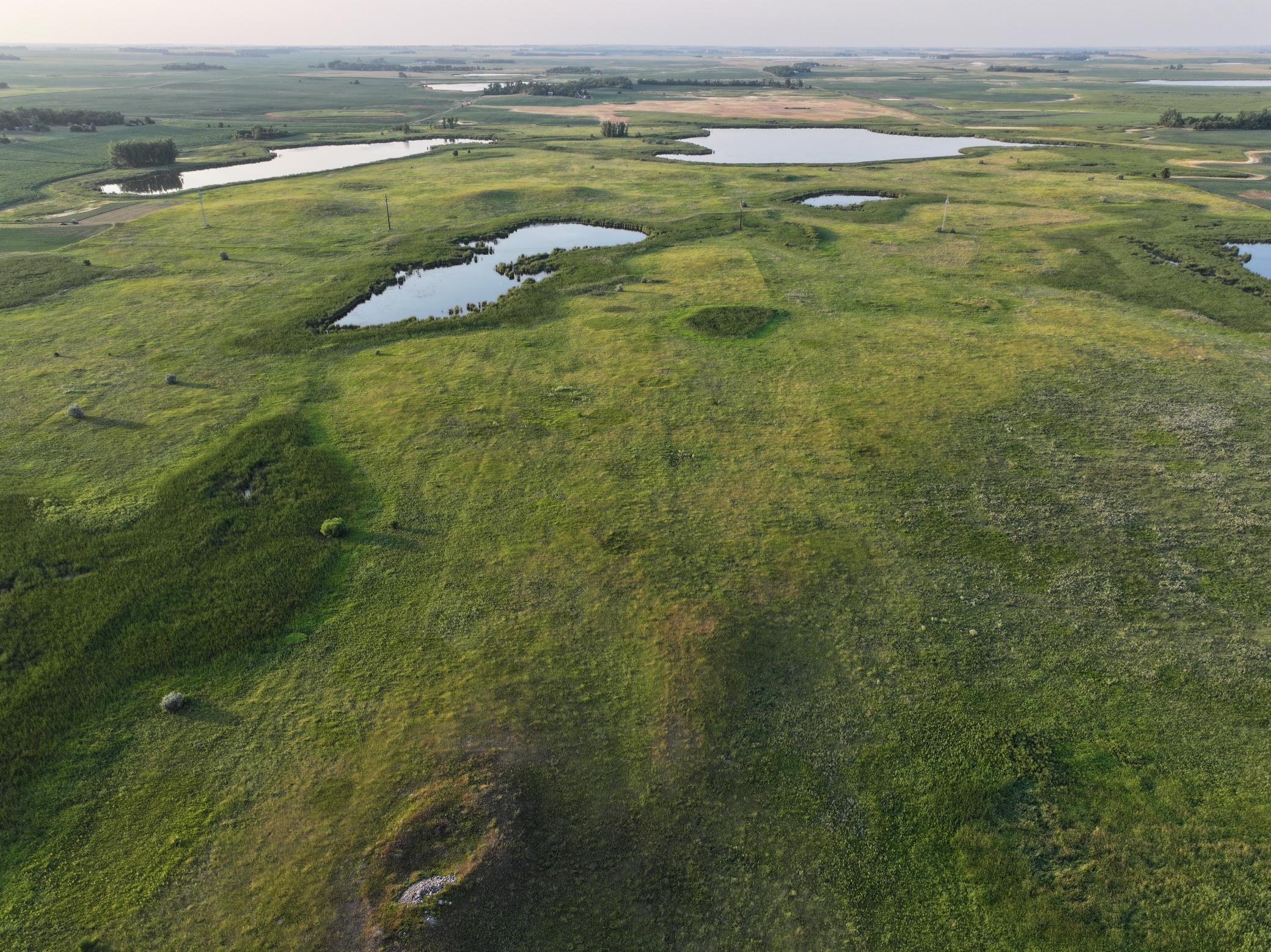 DJI_20260628004741_0004_D.jpeg