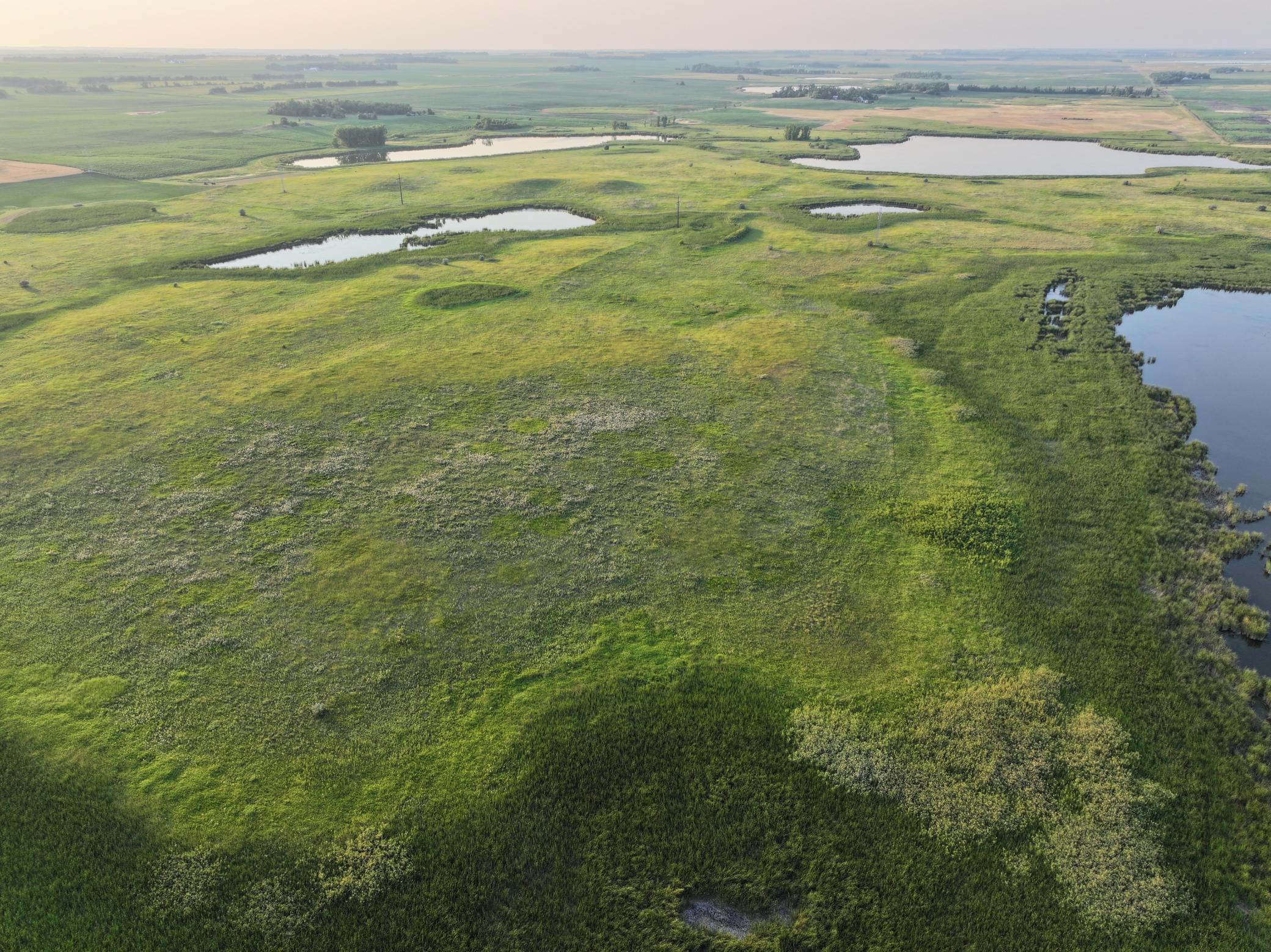 DJI_20260628004714_0003_D.jpeg