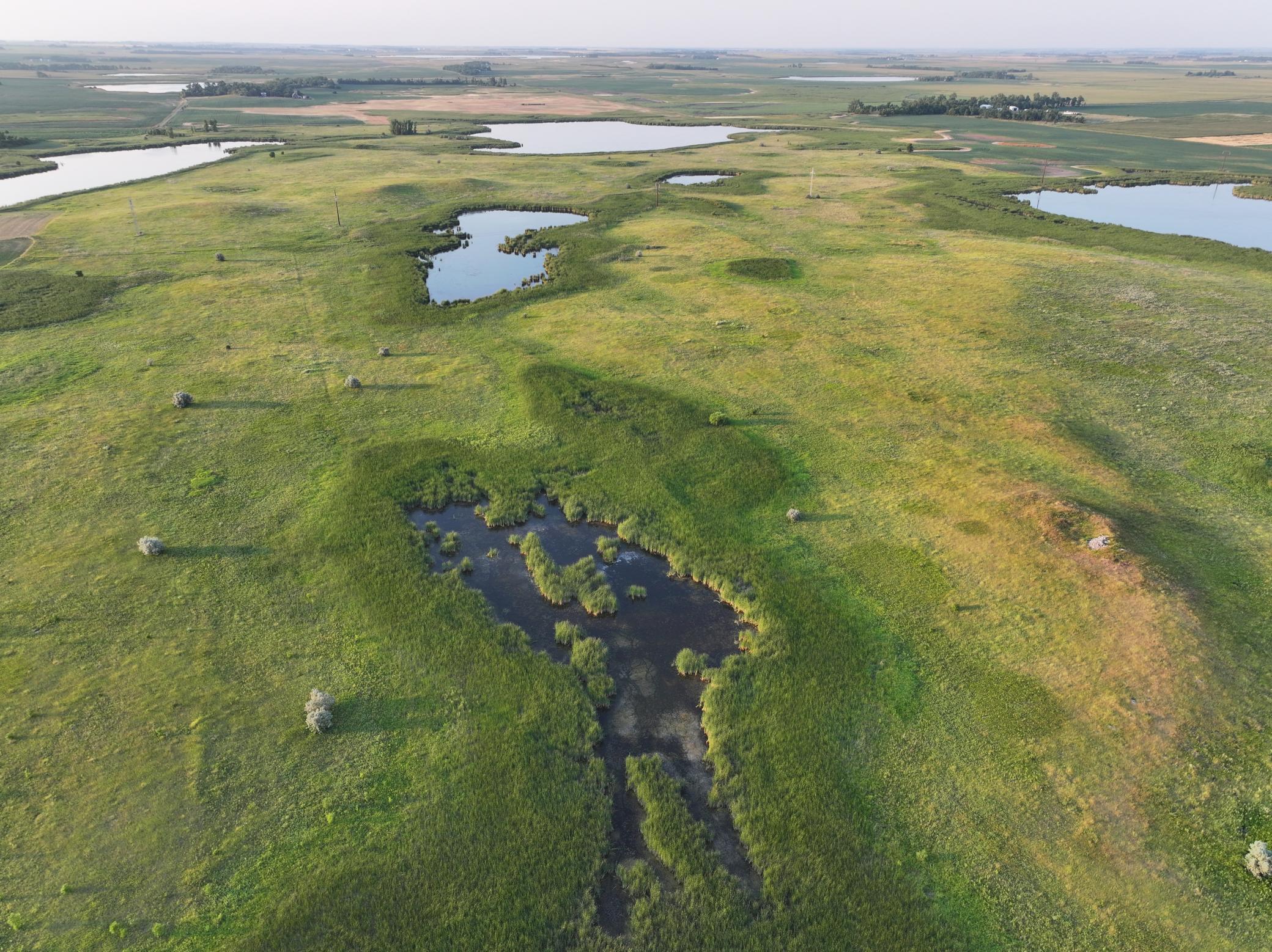 DJI_20260628004800_0005_D.jpeg