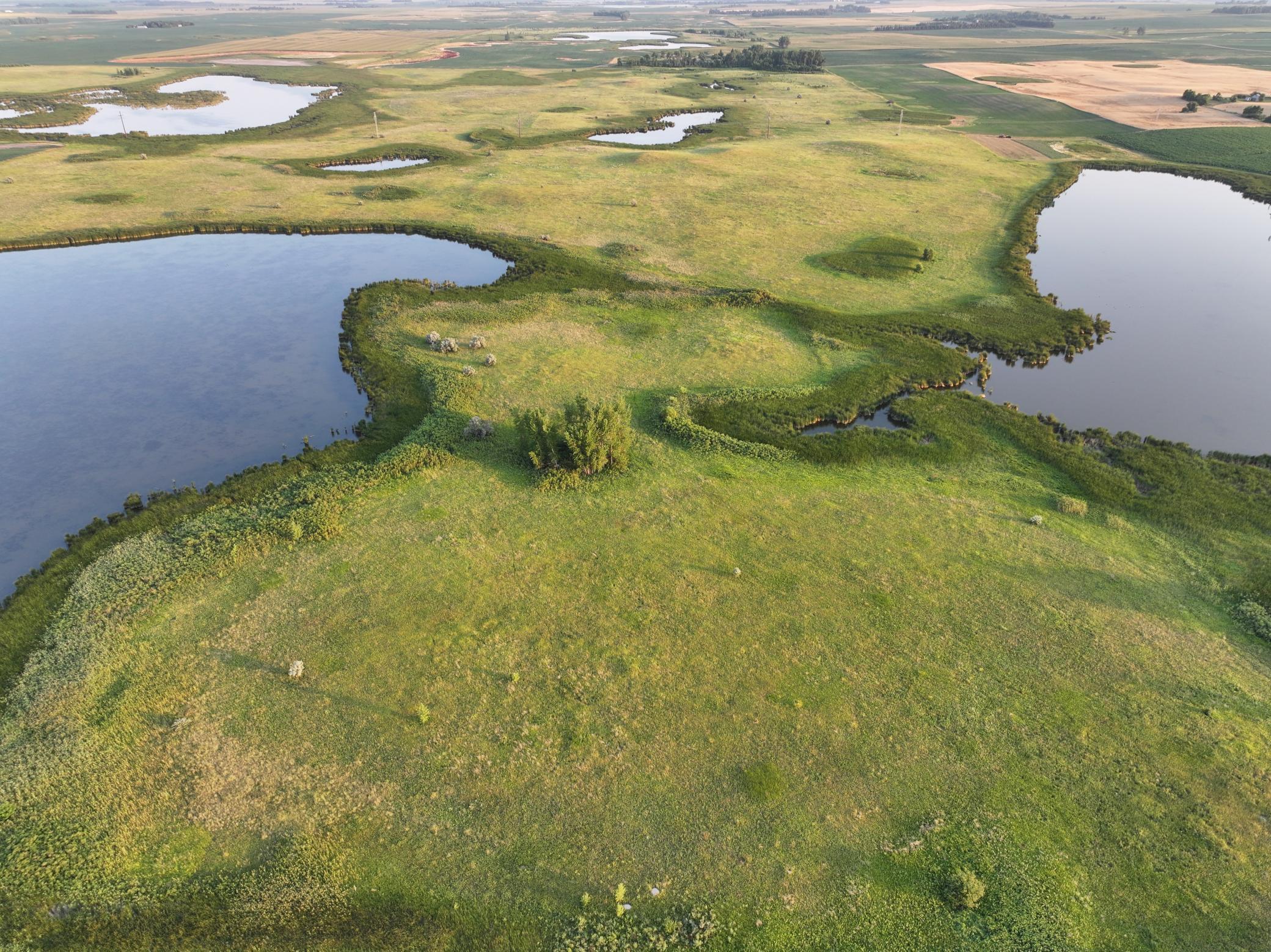 DJI_20260628005310_0013_D.jpeg