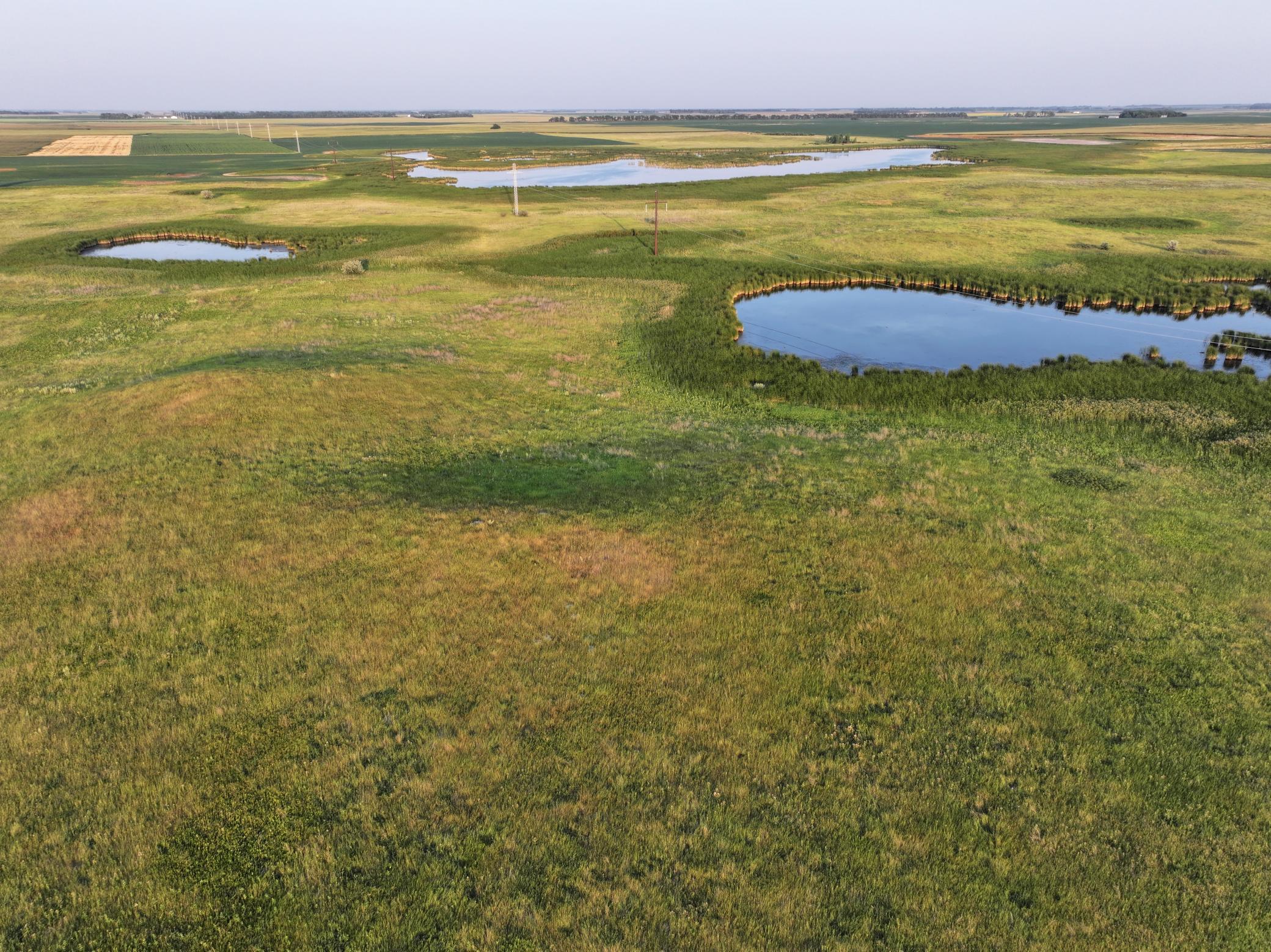 DJI_20260628004911_0010_D.jpeg