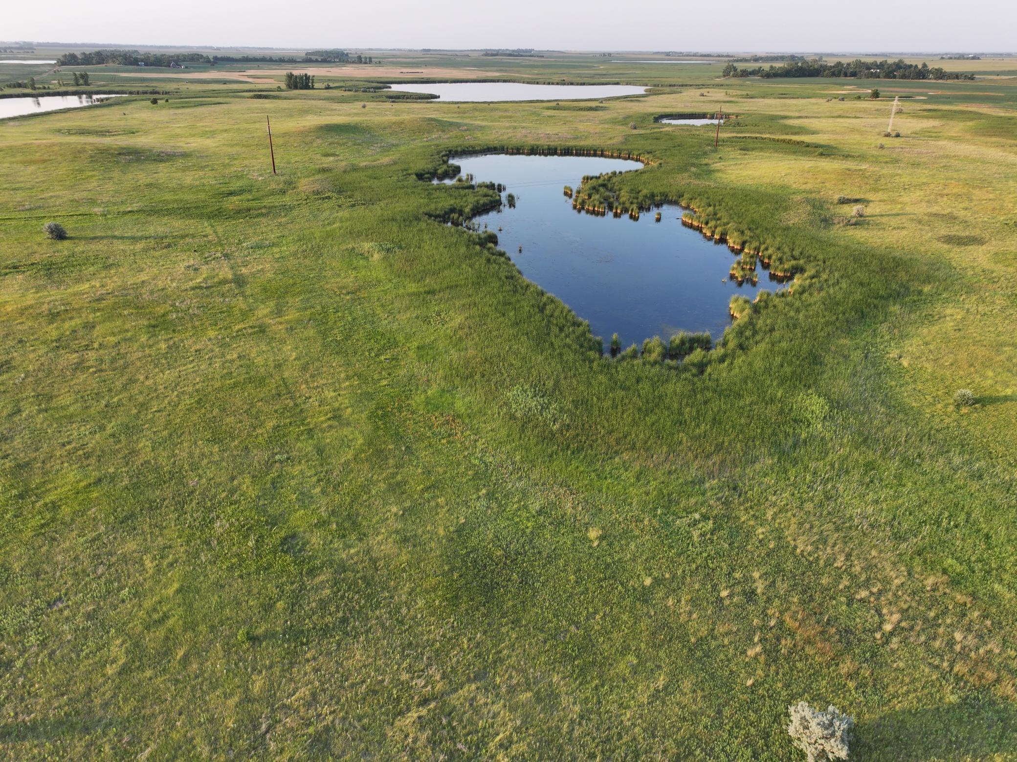 DJI_20260628004826_0006_D.jpeg