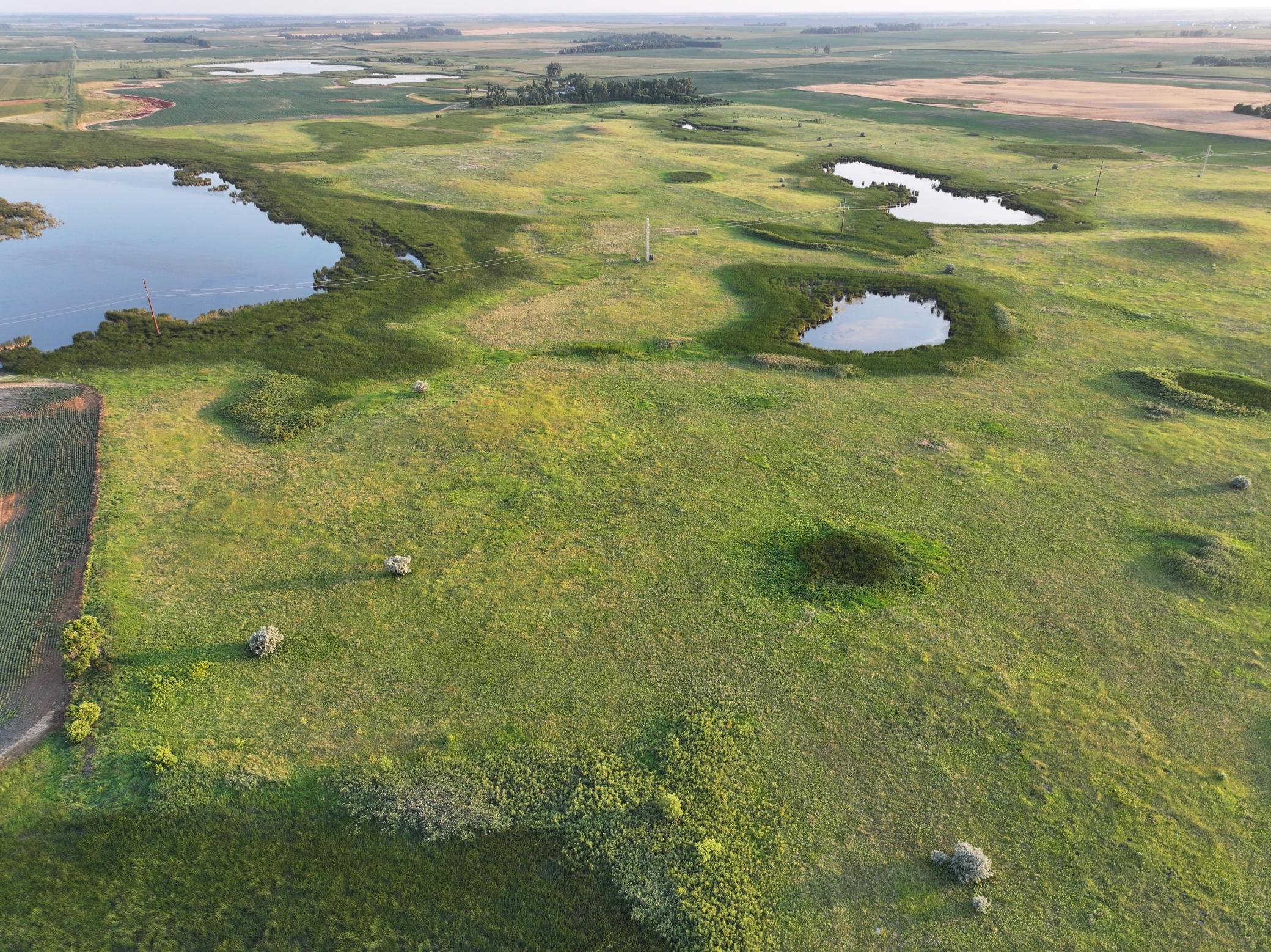 DJI_20260628005450_0016_D.jpeg