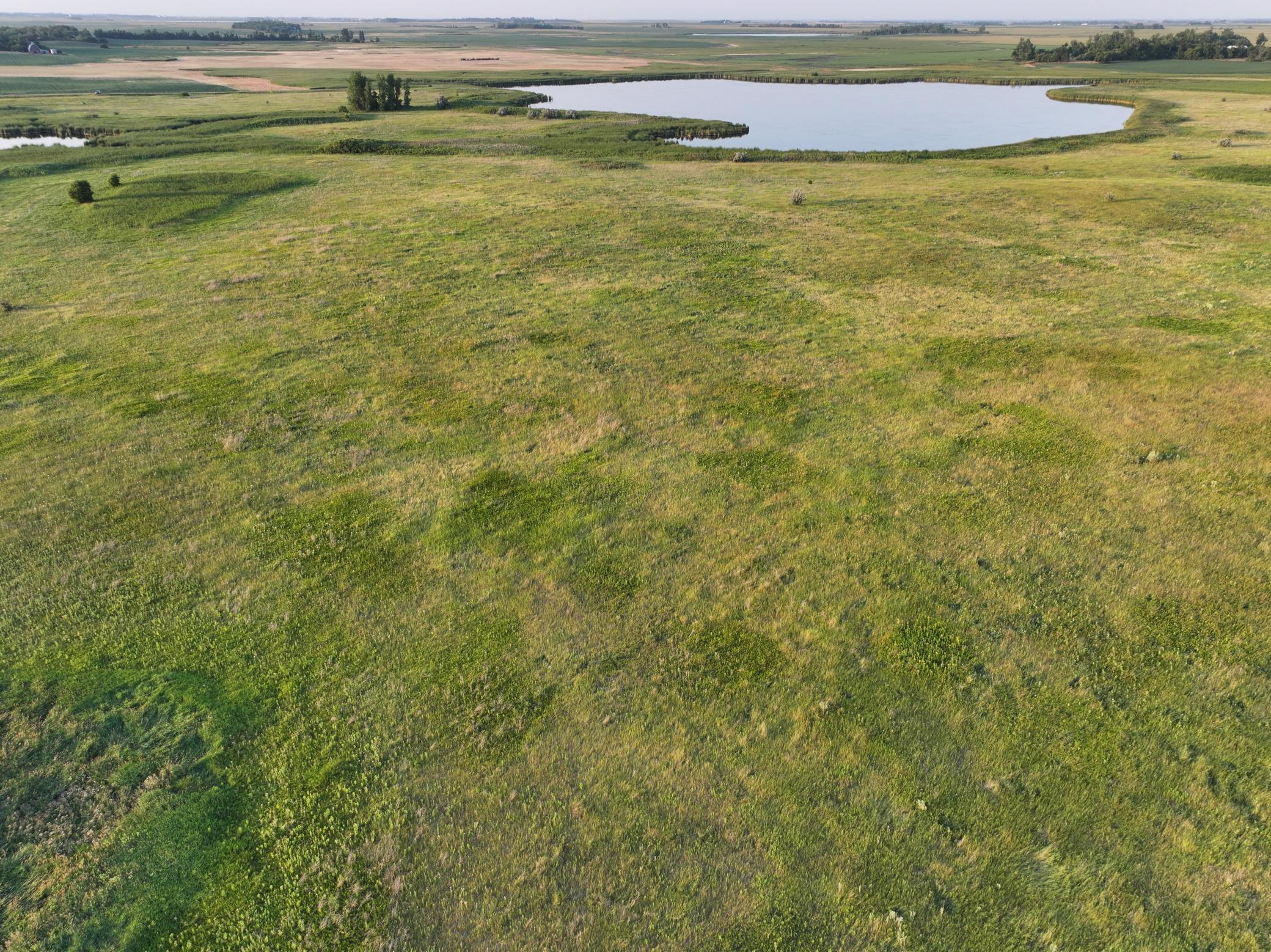 DJI_20260628004900_0008_D.jpeg