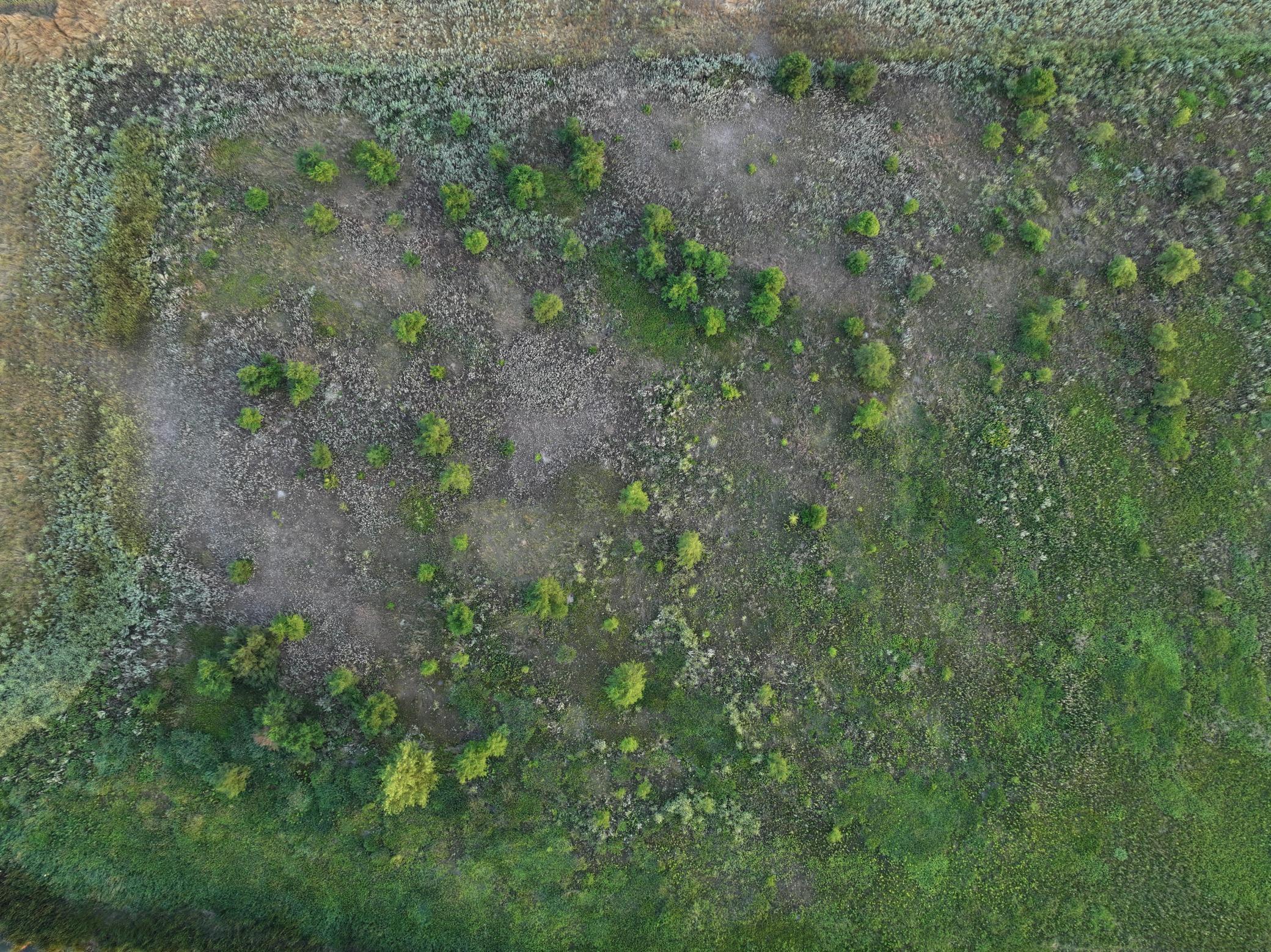 DJI_20260628011544_0026_D.jpeg