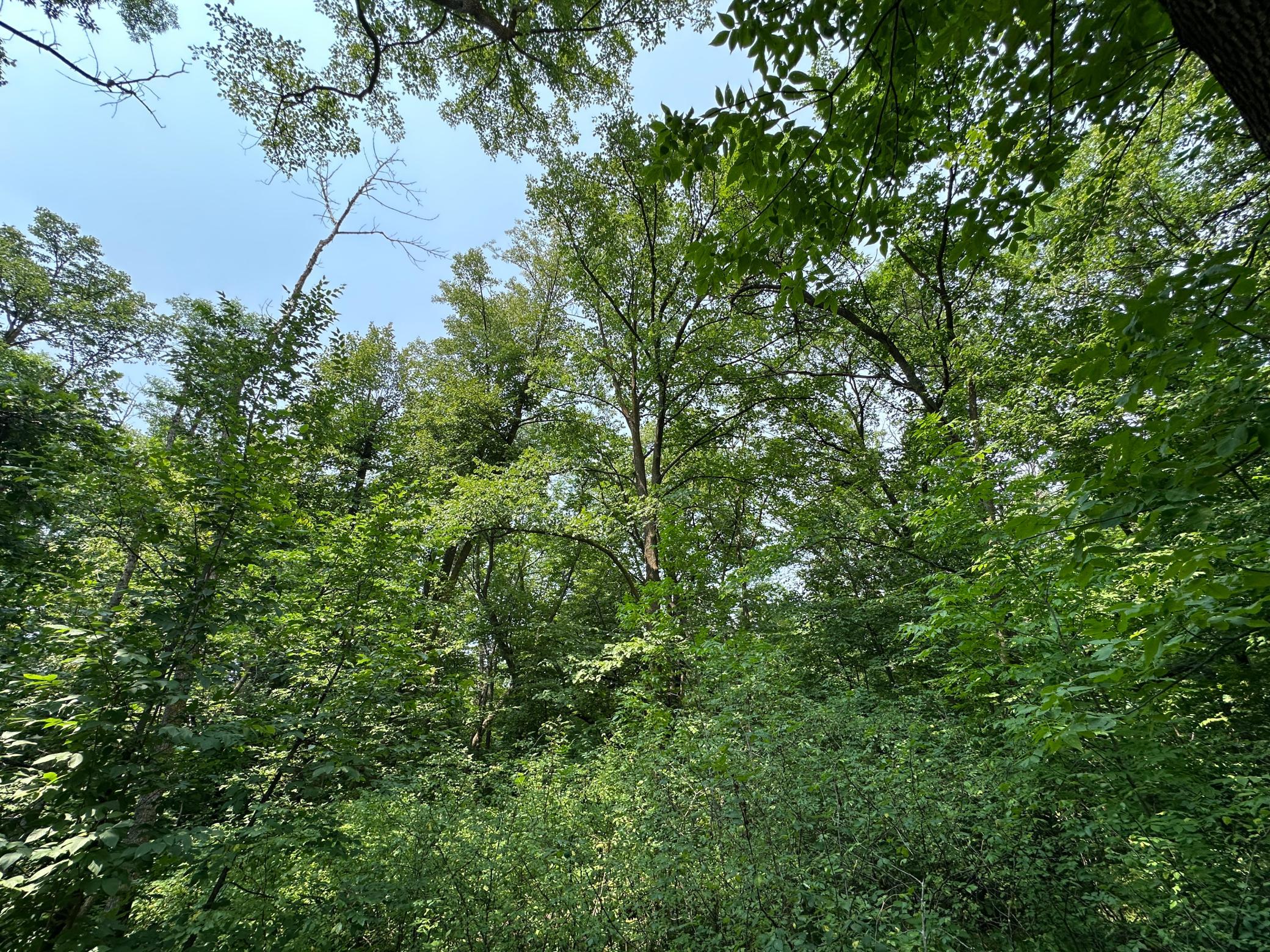 IMG_9363.JPG