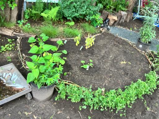 Maturing backyard perennials await their next gardener. Perennial pollinators will provide years of enjoyment. Photo provided by seller.