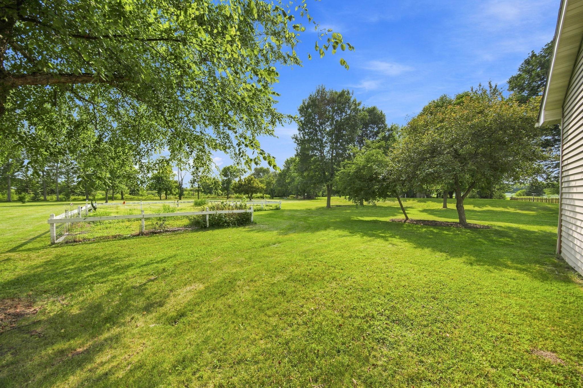 Big flat backyard!