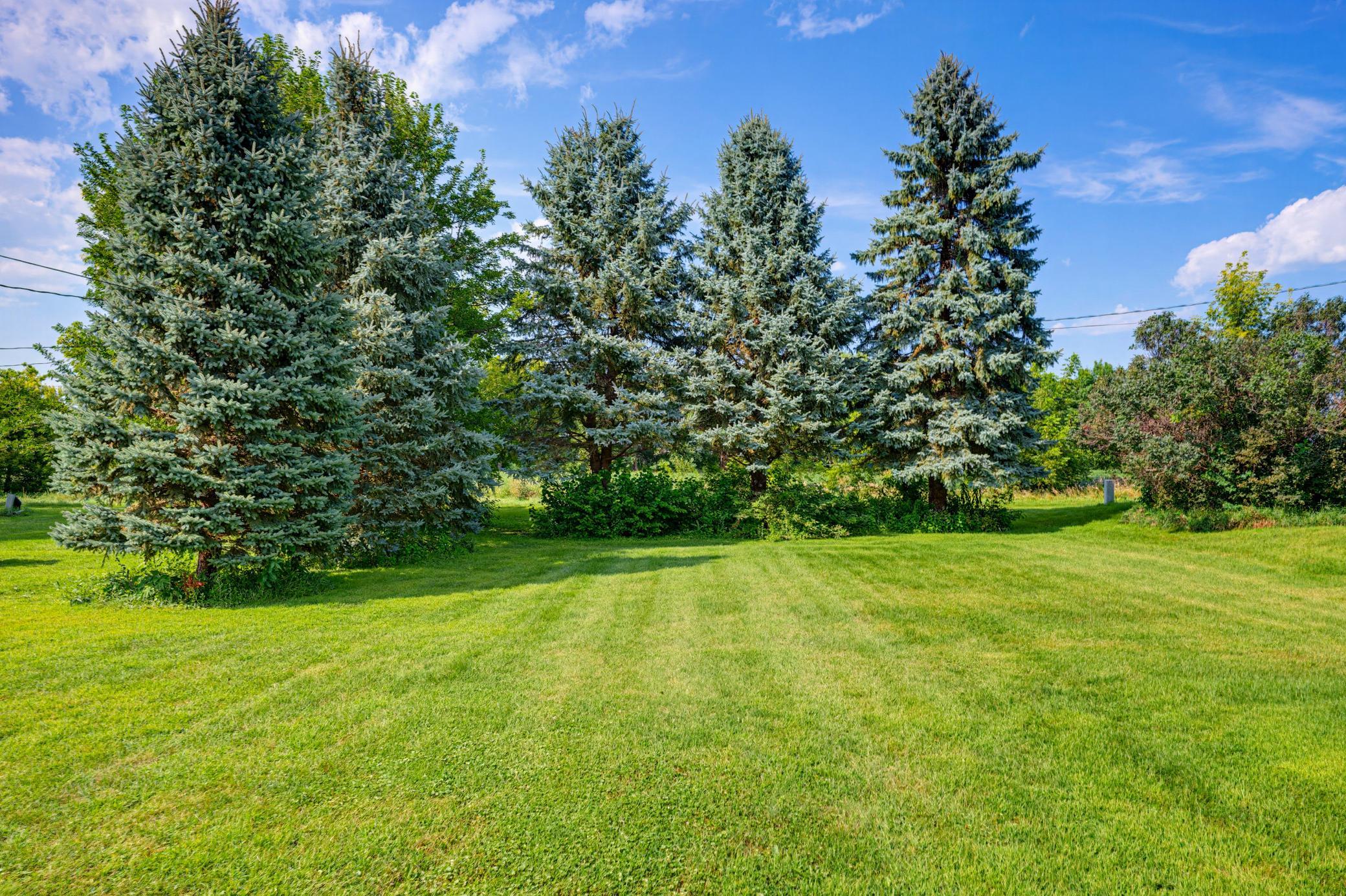 This property is situated on the edge of town.