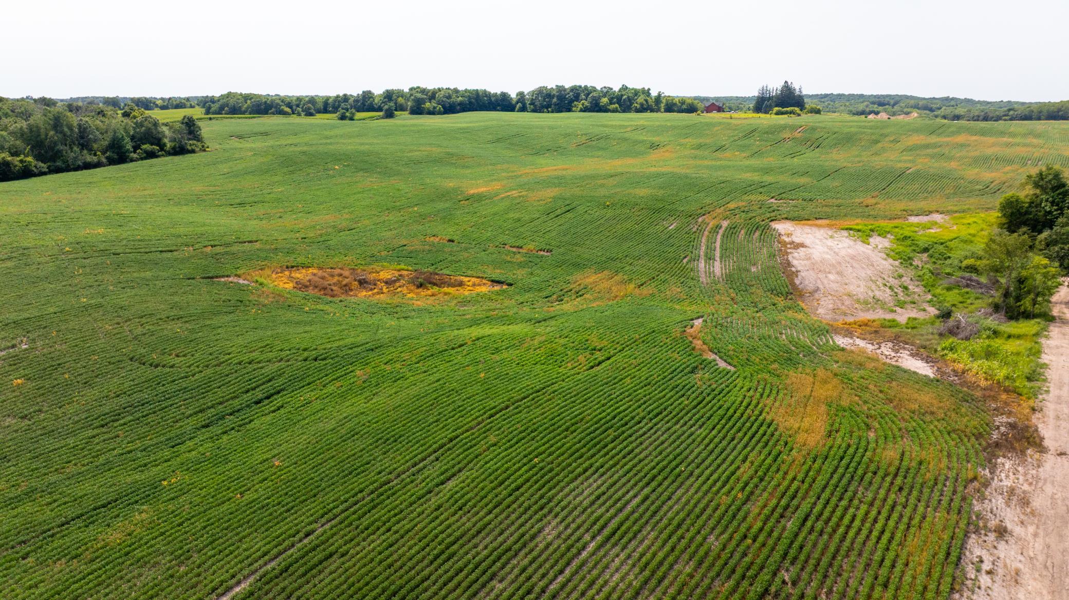 A view from the NE corner of your property!