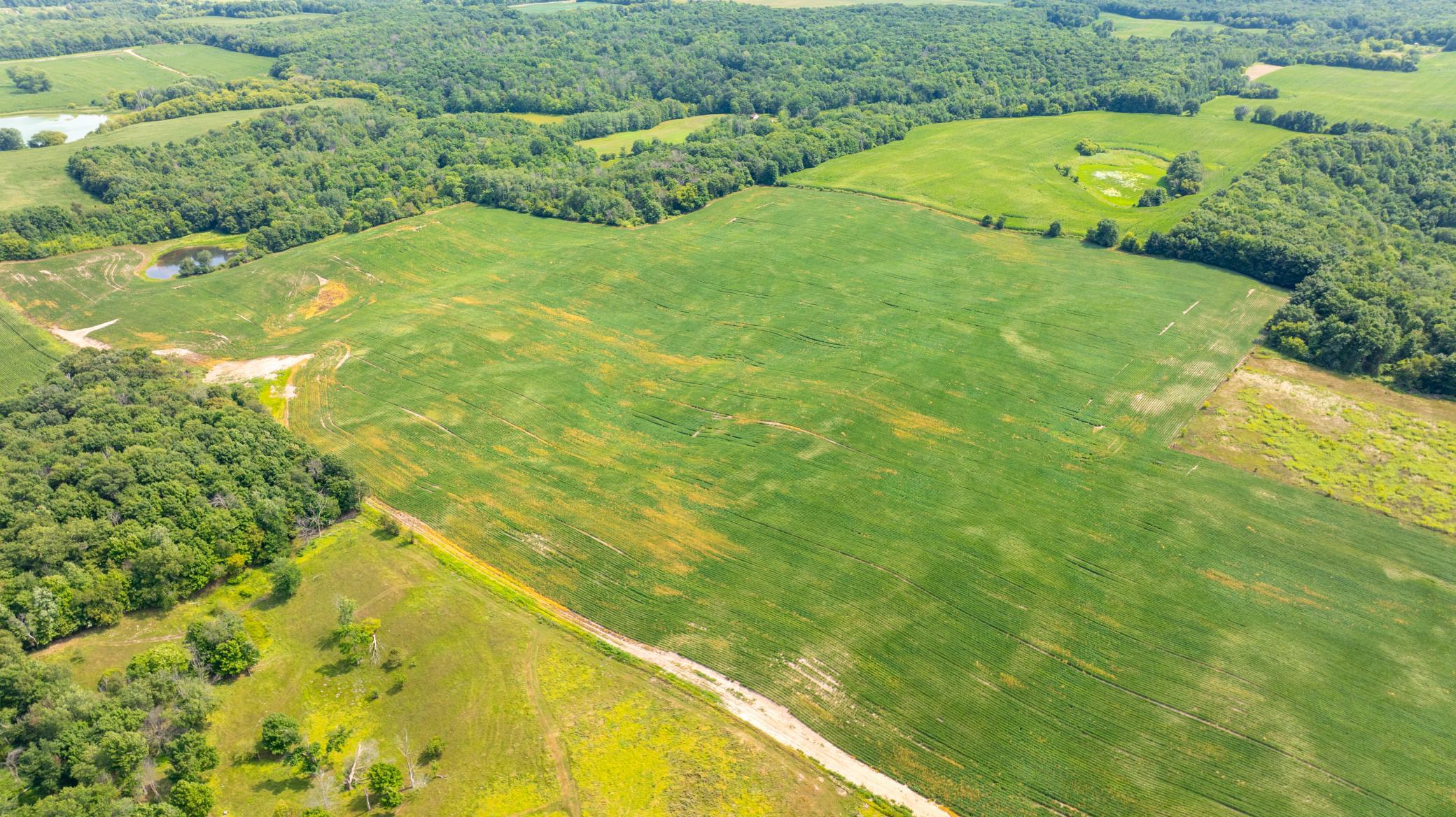 Looking from the NW corner of your property!