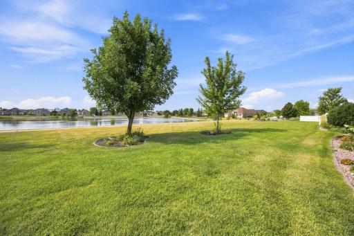 pond view
