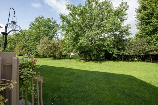 The townhome has great yard space and privacy with a line of trees.