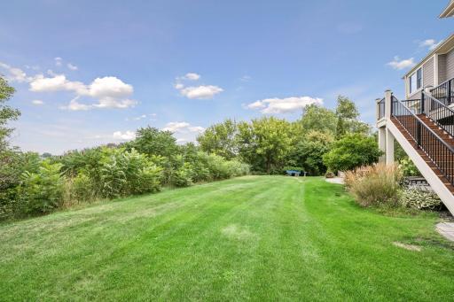 Backyard 2