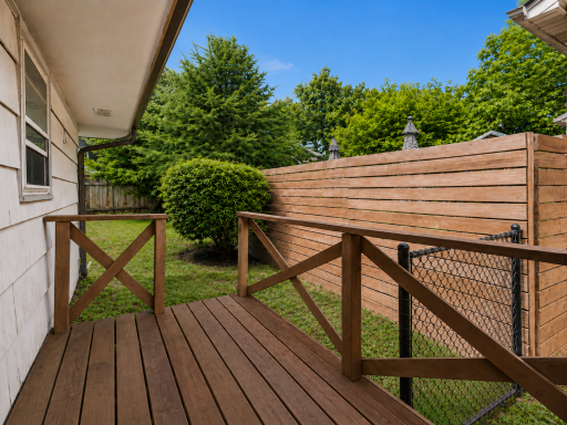 BAck Deck.png