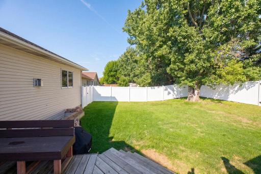Rear Fully Fenced Yard