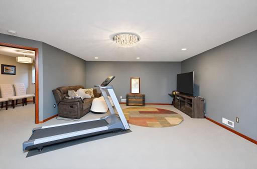 Family Room/Basement