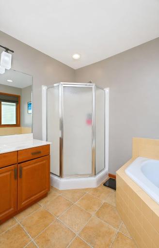 Primary Bath/Shower and Soaking Jacuzzi Tub