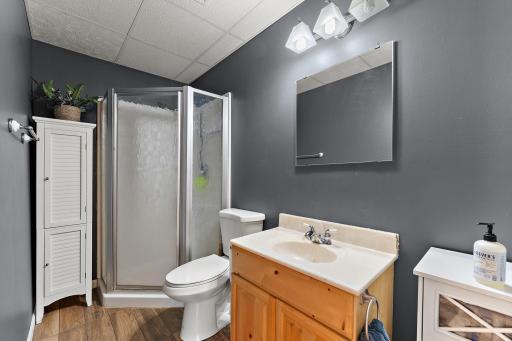 Lower Level 3/4 Bathroom