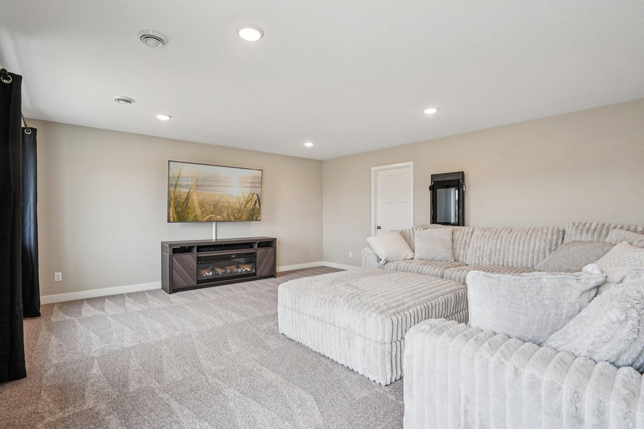 Lower Level Family Room.