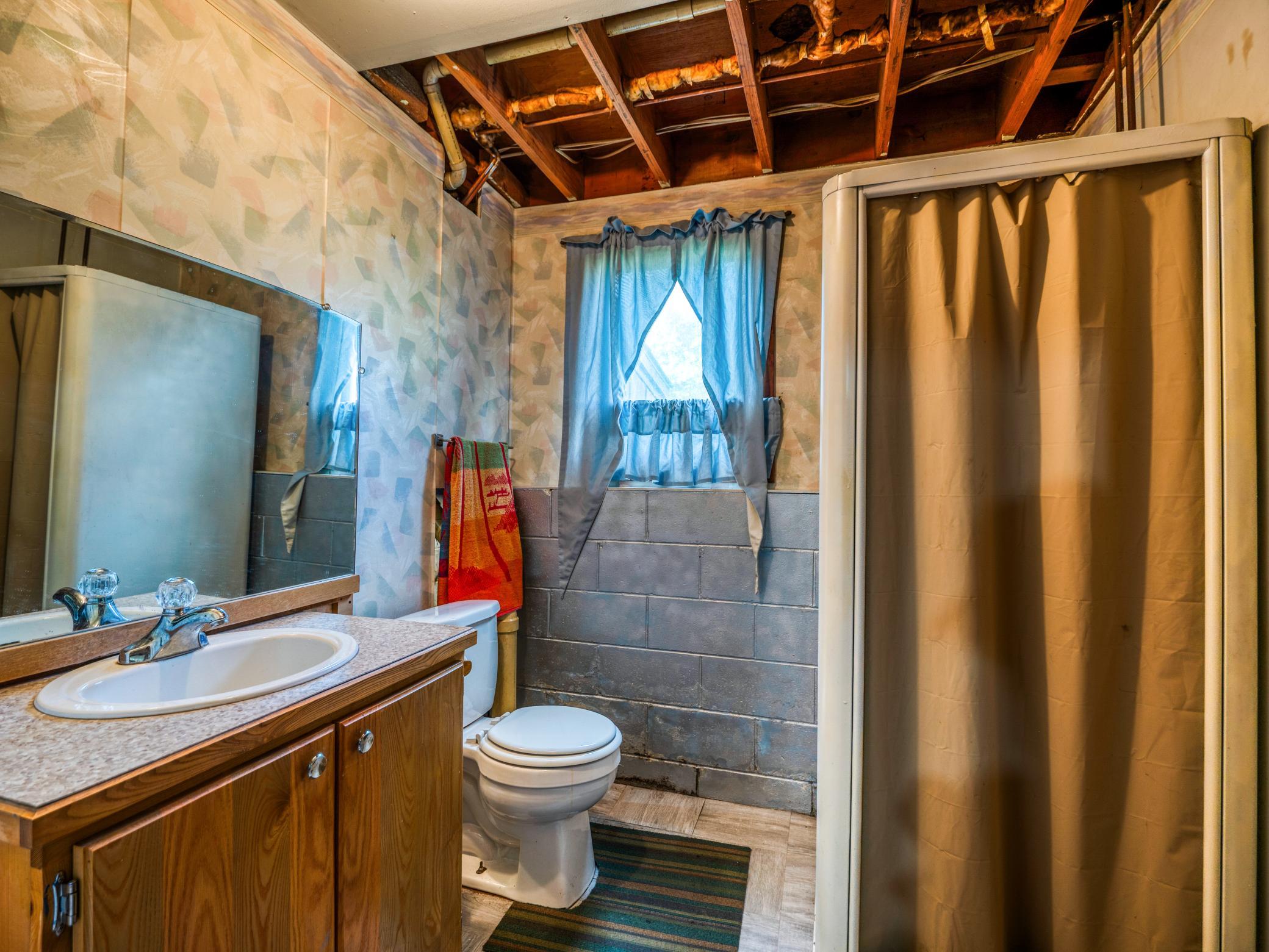 Lower level bathroom