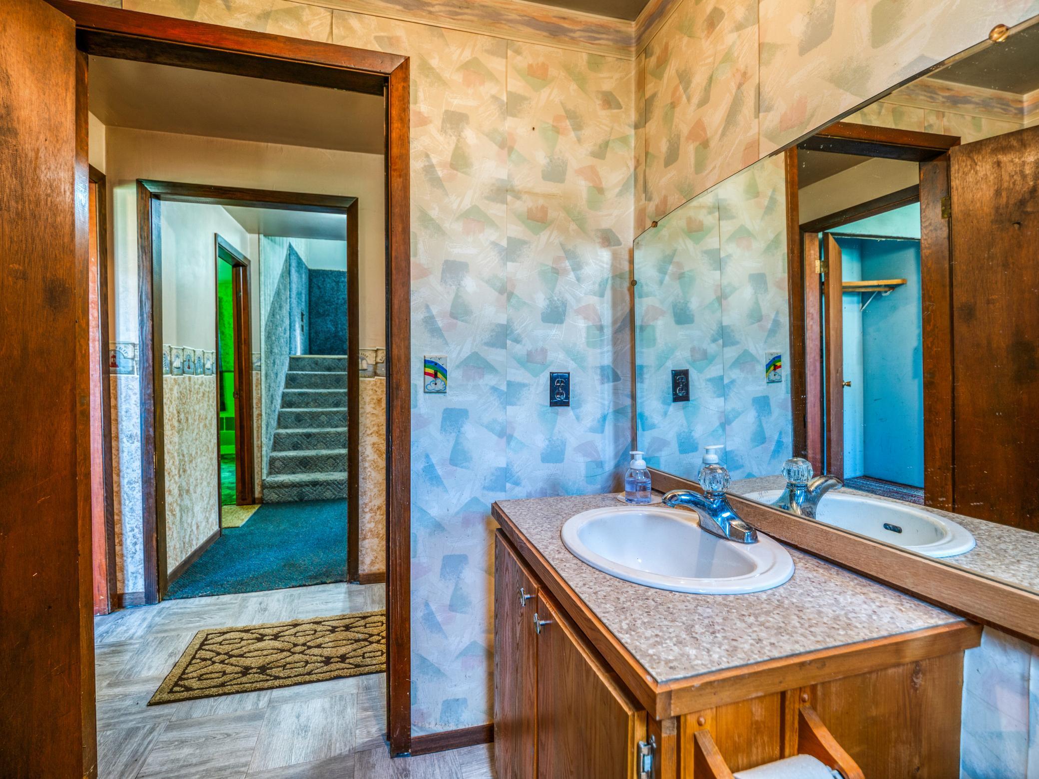 Lower level bathroom