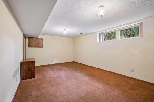 Huge LL Family Room with newer windows
