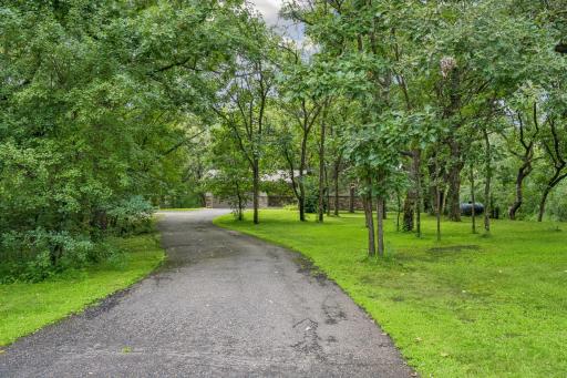 2.5 Acres of Mature Trees and Privacy!
