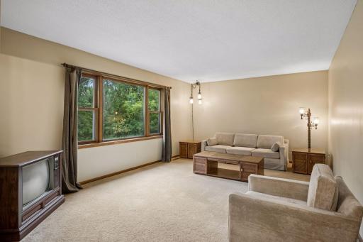 Spacious LR overlooks the Backyard!