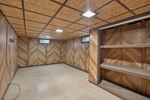 Family room basement