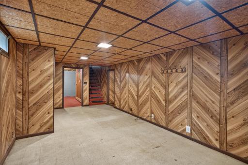 Family room basement