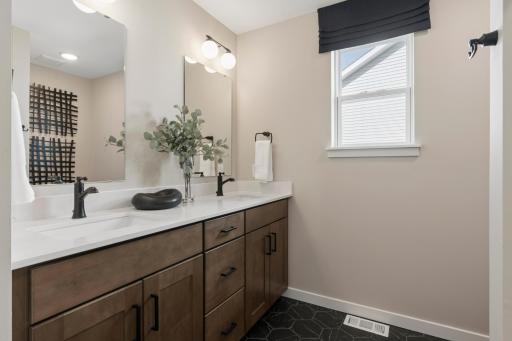 4107 Ramsay Way, Waconia, MN 55387