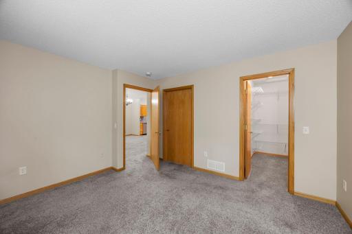Owners Suite - walk-in closet, & Walk thru to the bathroom