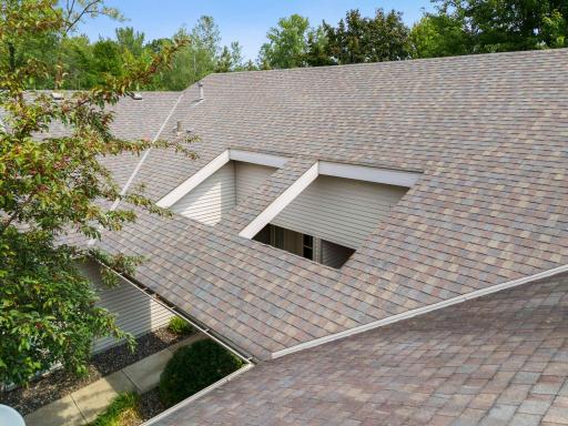 Architecturally smart - Brings in extra sunshine