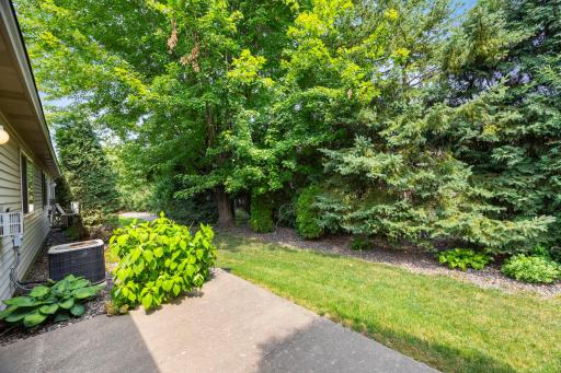 Private backyard setting