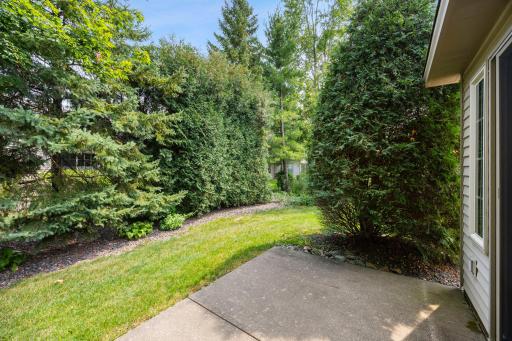Private backyard setting