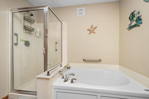Note the large soaking tub and the separate shower.