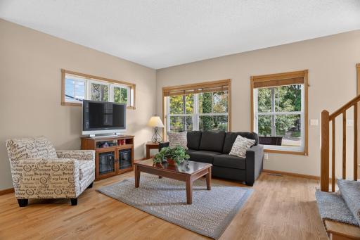 Living Room ~ Lots of Natural Light