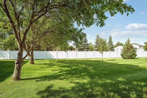 Rare Green Space