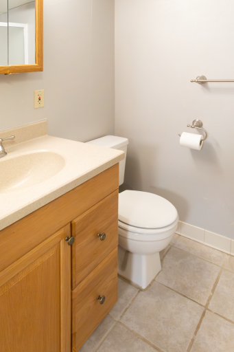 503 Chan View, Chanhassen, MN 55317