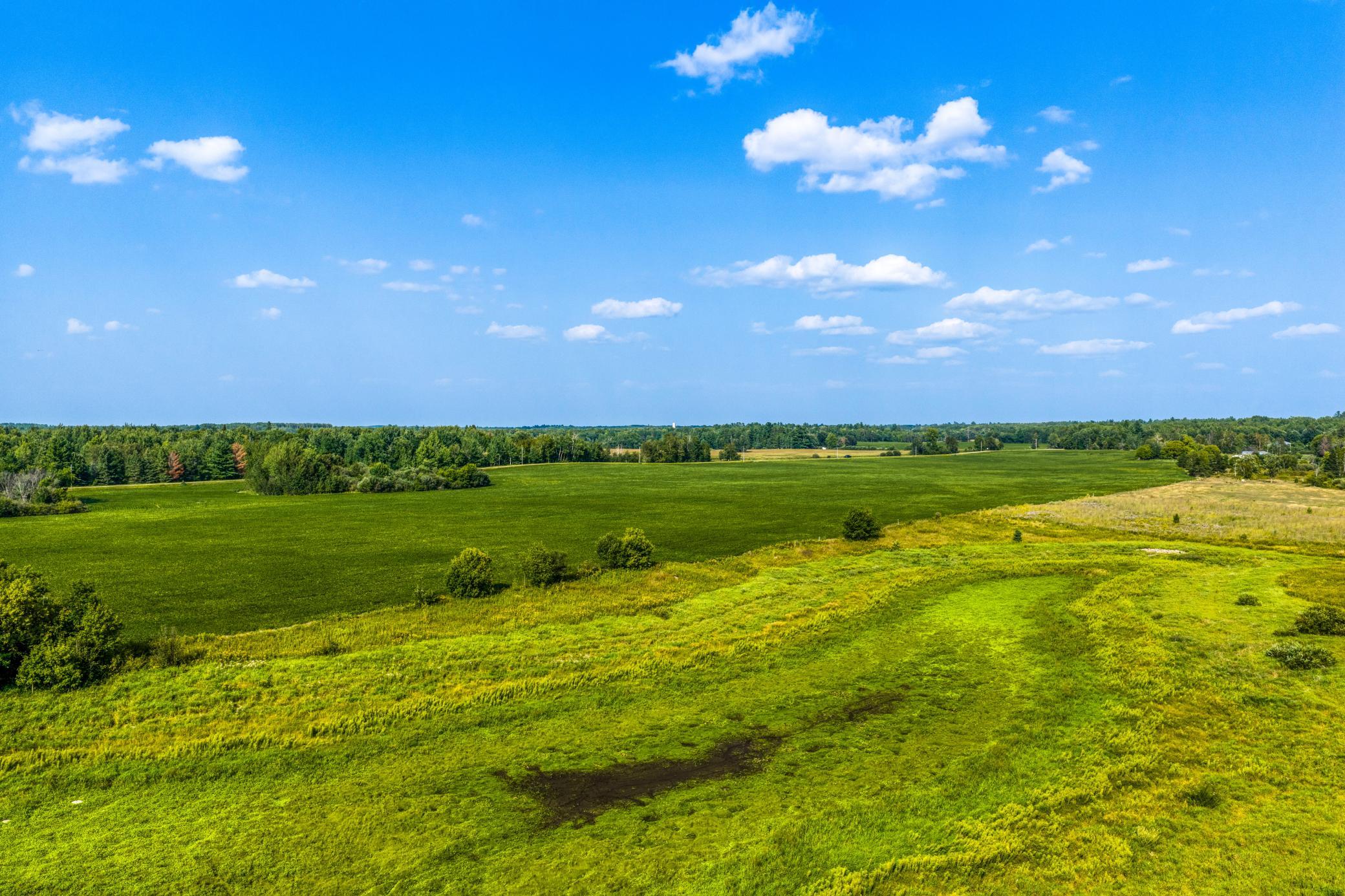 Some Low Land.jpg