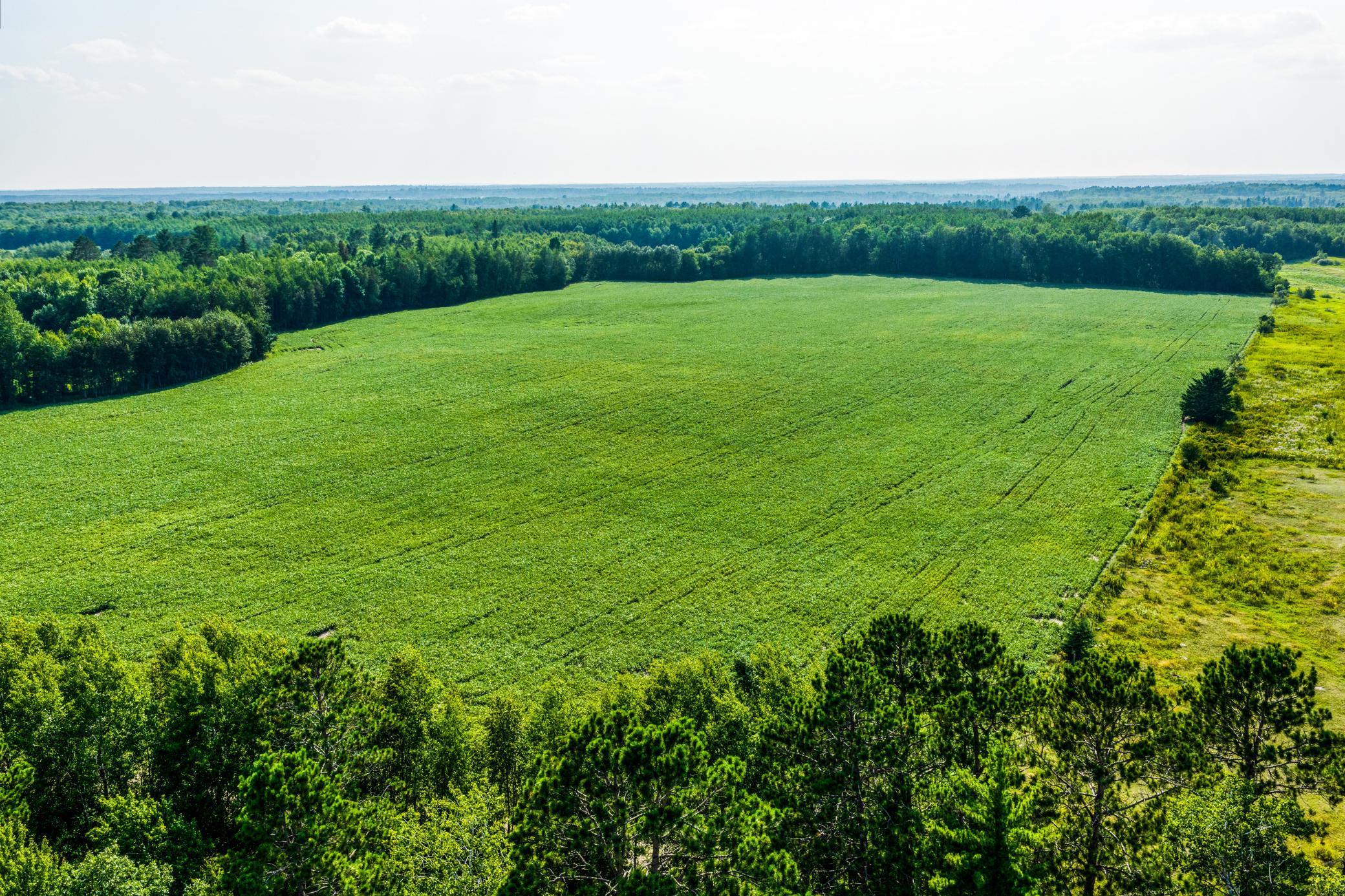 Property photo for TBD Buzzle Road NW, Shevlin, MN 56676