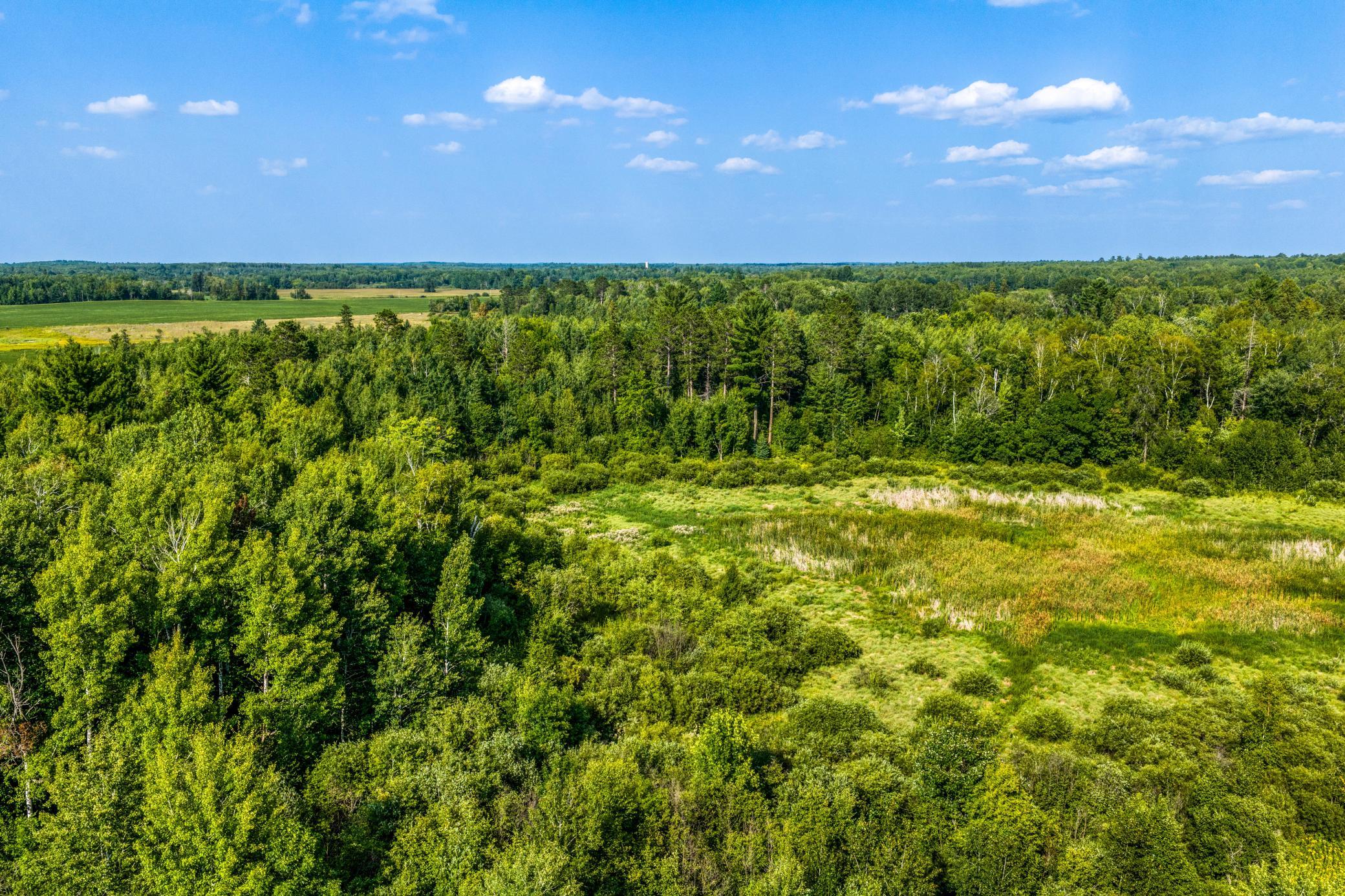 Wooded Acreage.jpg