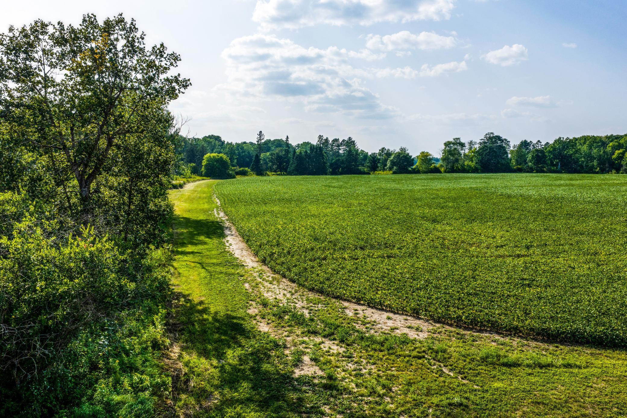 Field #1.jpg