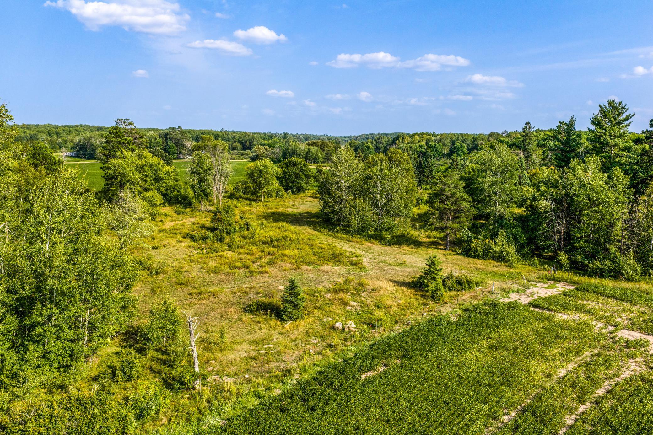 Wooded Acreage.jpg
